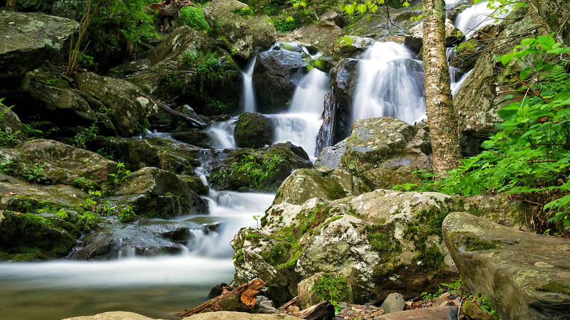 Shenandoah National Park